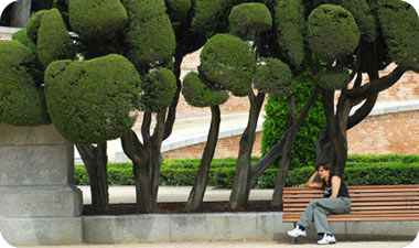 מדריד שוכנת בלבו של חצי האי האיברי, למרגלות רכס הרי גוּאדָרָמה (Sierre de Guadarrama), והיא עיר הבירה השנייה בגובהה באירופה. צילום: נפתלי הילגר