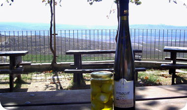 יקב מוני. סמוך למנזר עתיק גילתה המשפחה מערה ששימשה בעבר לאחסון יין, והחליטה לנסות גם היא את מזלה