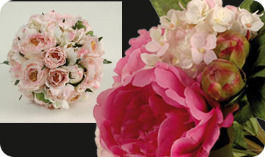 אליזבט טרוסט