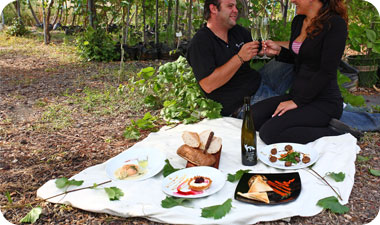 ארוחת בוקר בכרמים