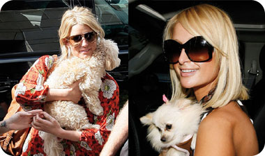 מימין: פריס הילטון ואשלי סימפסון