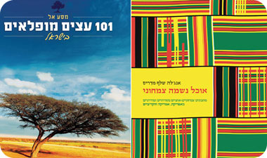 ספרים מיוחדים - ספר בישול אותנטי וספר המוביל אותנו ל-101 עצים מיוחדים הגדלים מזה עשרות ומאות שנים באזורנו
