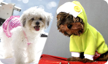 מעיל עולה בערך 600 שקלים [צילום: אילןספירא ואילוסטרציה: photos to go]