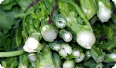 אילוסטרציה: gettyimages