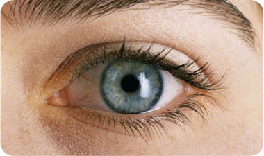 ריסים מגשימים משאלות (אילוסטרציה: ASAP photos)