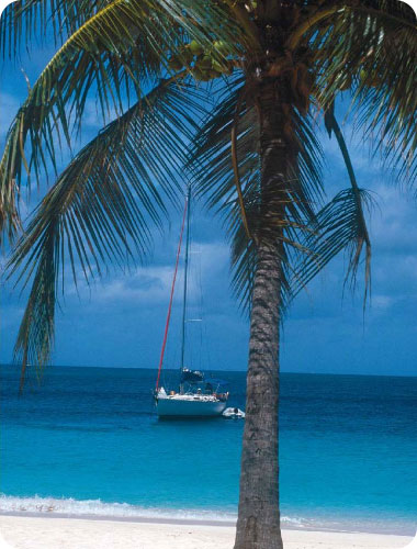 באיי הבתולה הבריטיים השלווה והפסטורליות שולטות, והסכנה המוחשית היחידה נשקפת מפגיעת אגוז קוקוס הנופל מהעץ