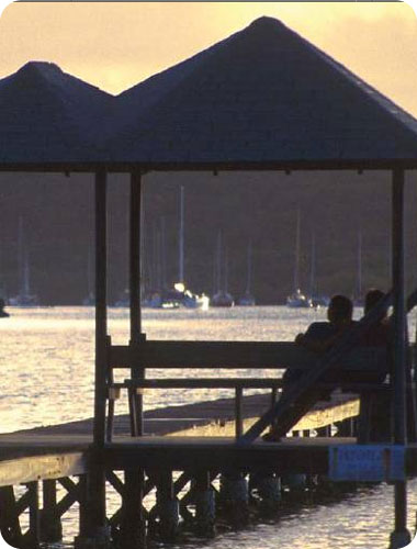 האיים הם יעד פופולארי לירח דבש לרבים מהזוגות האמריקניים. 34 אחוז מהזוגות הטריים בארצות הברית בוחרים לבלות את ירח הדבש באיים הקאריביים ושבעה אחוזים מהם מגיעים לאיי הבתולה הבריטיים