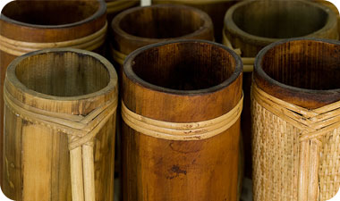 צמחי הבמבוק מסמלים הרמוניה וגמישות [אילוסטרציה: ASAP | PHOTOS]