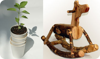 מימין לשמאל: Cotton ו-CoffeeShop.co.il