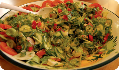 שיקום הגוף באמצעות מזון אורגני חי