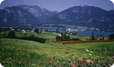 לנסיעה בקרוואן קצב משלה [אילוסטרציה: ASAP Photos]