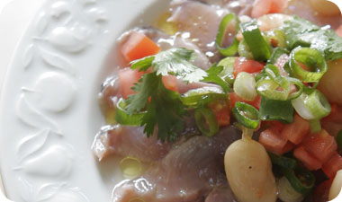 סביצ'ה פלמידה אדומה