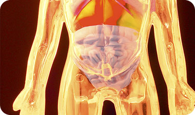 לטיפול בעצירות יש ללעוס 2-3 כפות של זרעי פשתן [אילוסטרציה: ASAP Photos]