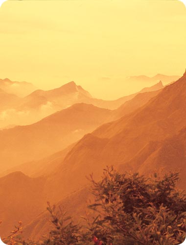 כתום הוא צבע האש, היסוד החשוב ביותר במסורת ההודית, בעל אנרגייה שבכוחה להרוס ולפרק חומר למרכיביו, אך גם להתיך, לחבר וליצור משהו חדש