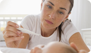 הפריחה נמשכת כ-3 ימים ונעלמת בהדרגה [אילוסטרציה: photos to go]