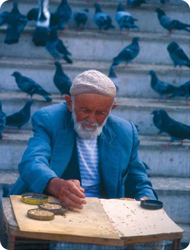 ברחובותיה של העיר איסטנבול הנושקים למצר, המשדרים קסם רב, אפשר למצוא טיפוסים מקומיים מעניינים וייחודיים רק לה