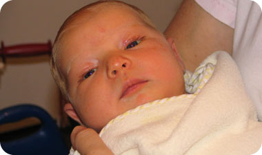 ענקית קטנה. ורד של טלילה