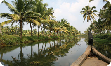 דרך פופולרית לבלות יום שלם על המים היא באמצעות שיט מקוֹלאם