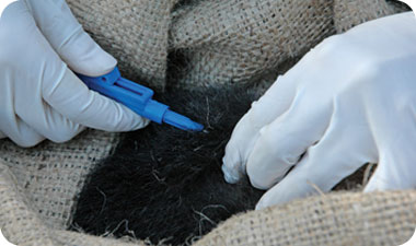 משדר בגודל של גרגיר אורז שיאפשר לעקוב אחריו בהמשך